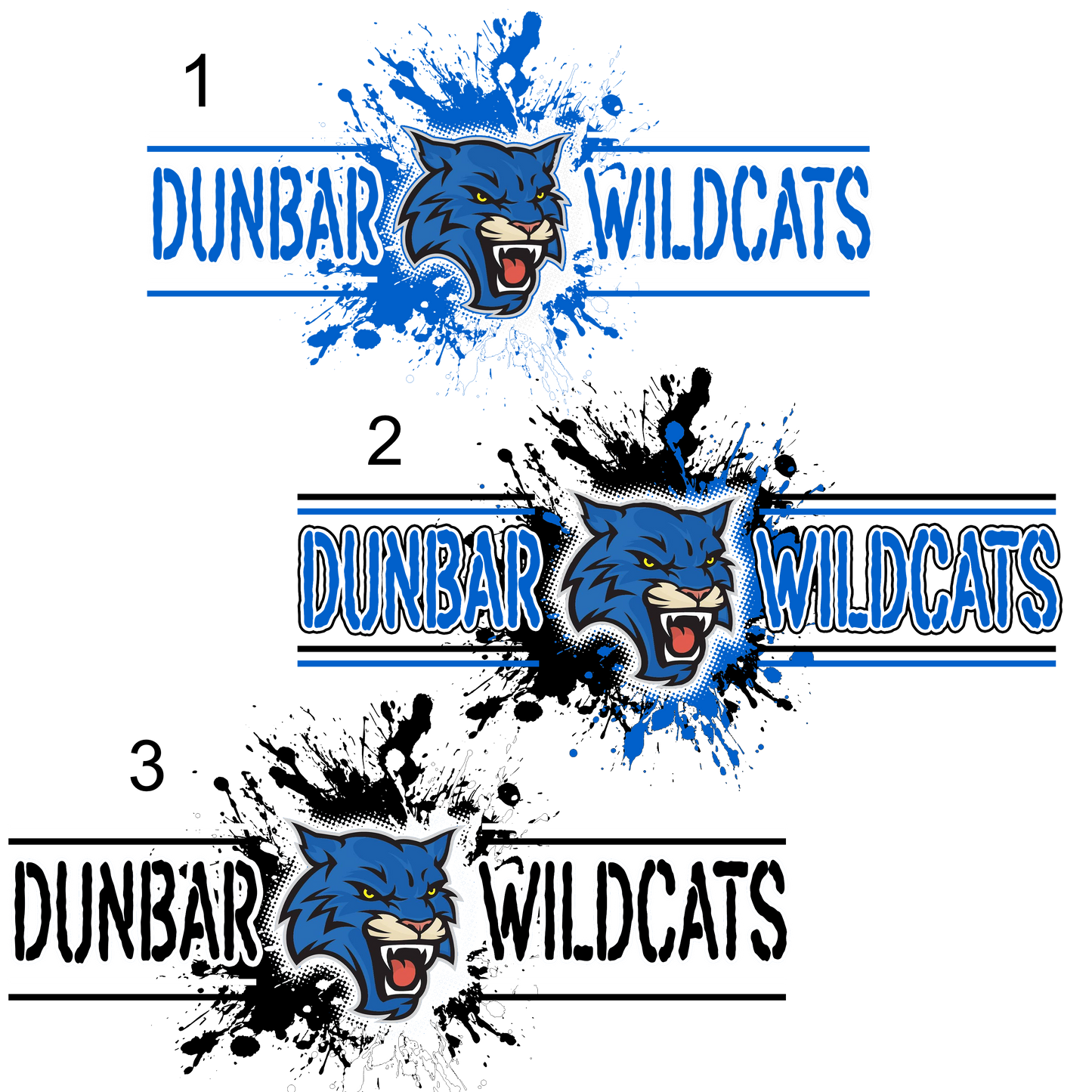 Dunbar Wildcats 2